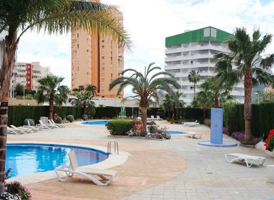 Nowy budynek - Apartament - Calpe/Calp - Calpe