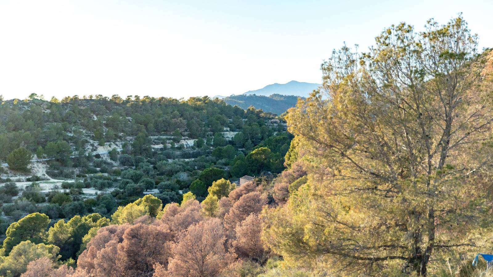 Nowy budynek - Apartament - Finestrat