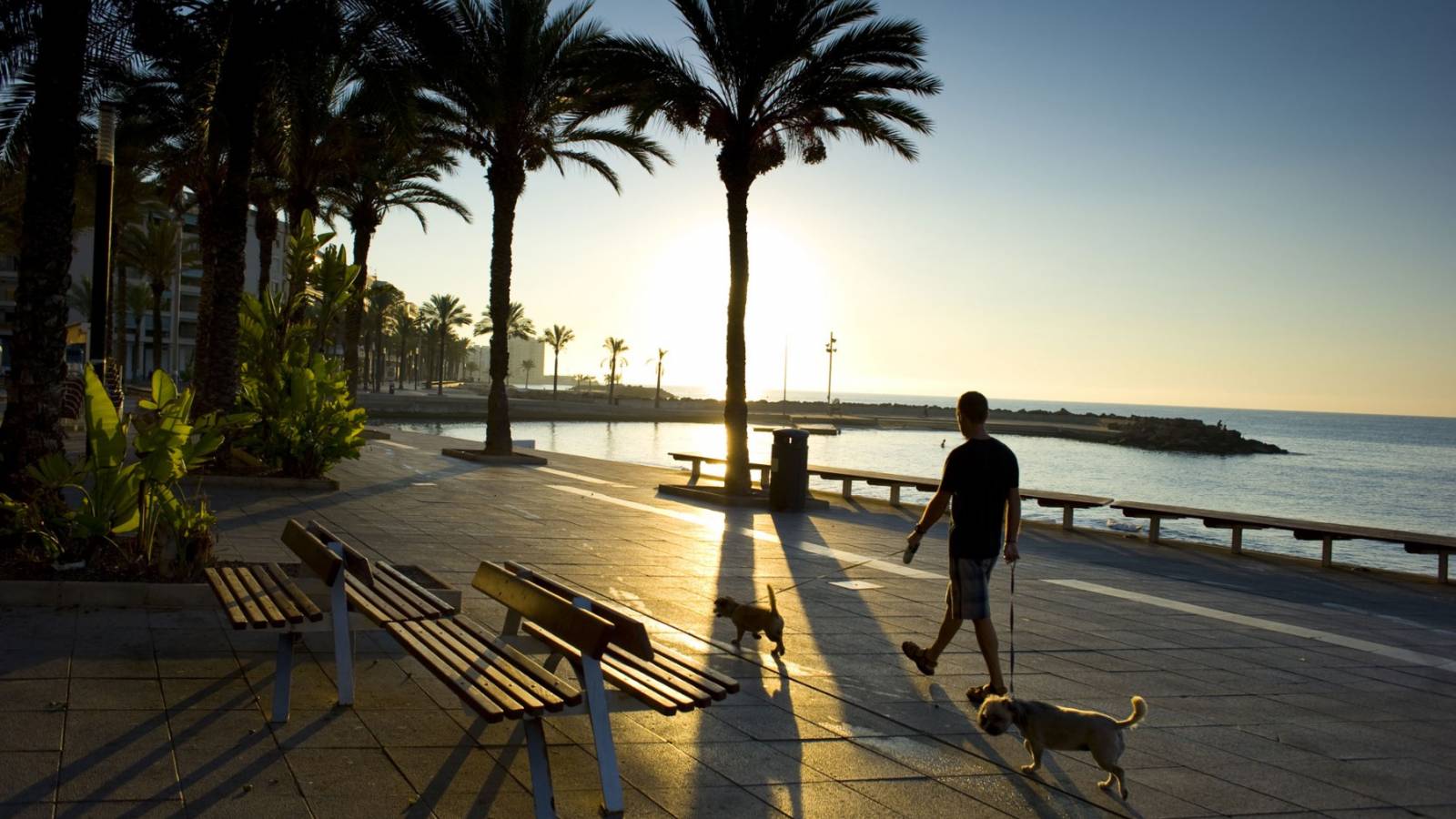 Nowy budynek - Apartament - Punta Prima