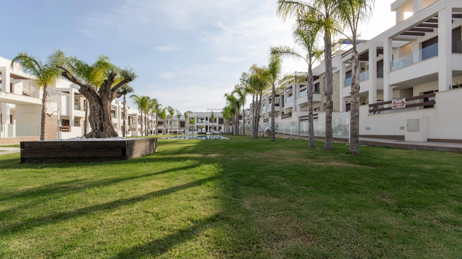 Nowy budynek - Apartament - Torrevieja - Los Balcones