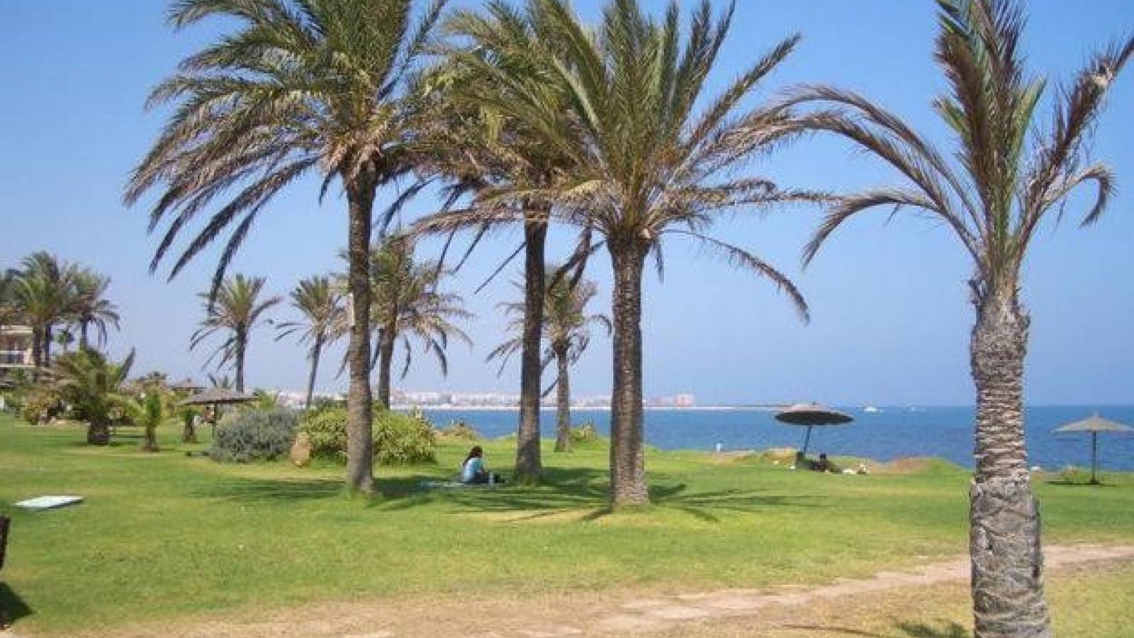 Nowy budynek - Apartament - Torrevieja