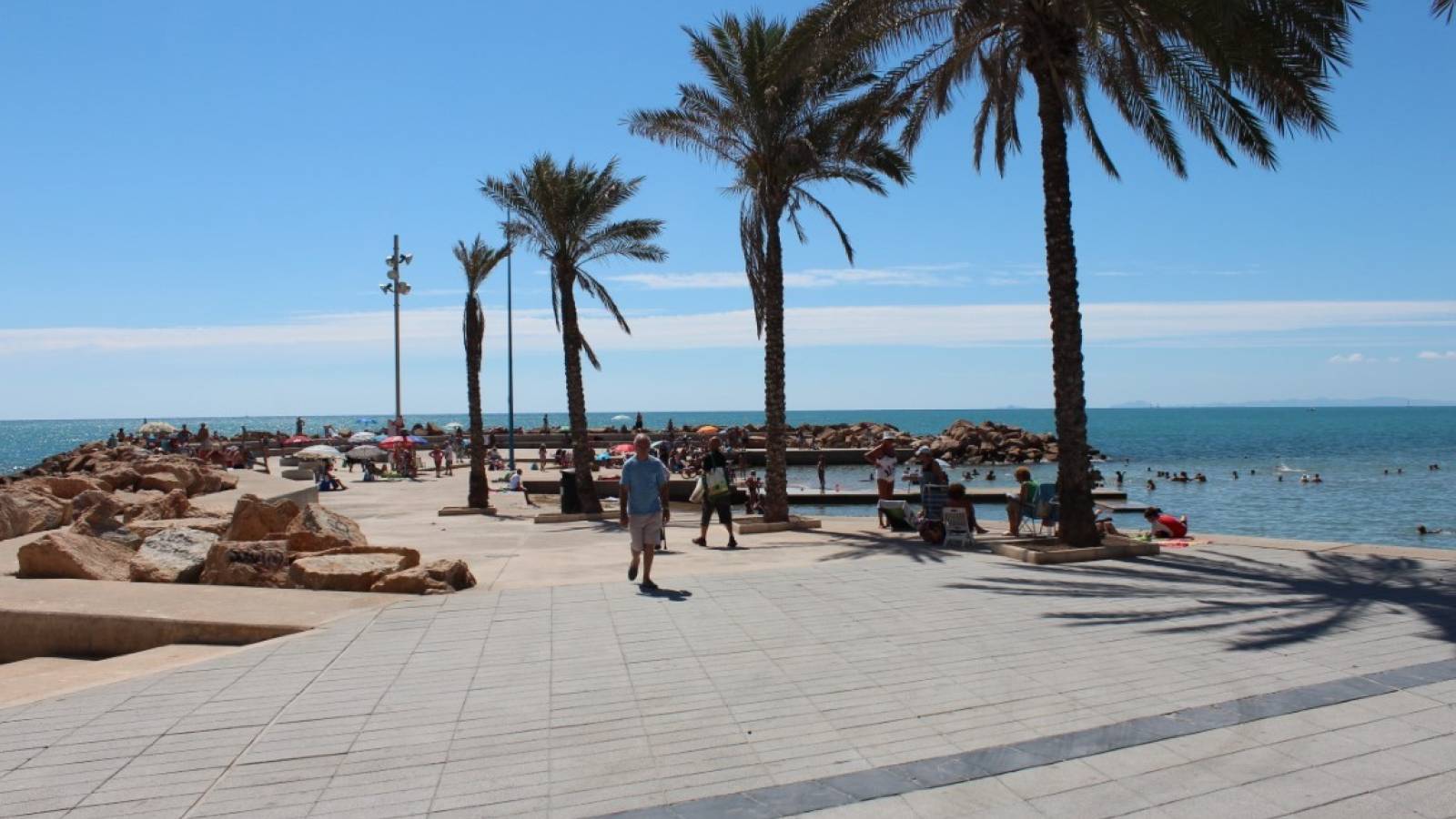 Nowy budynek - Apartament - Torrevieja