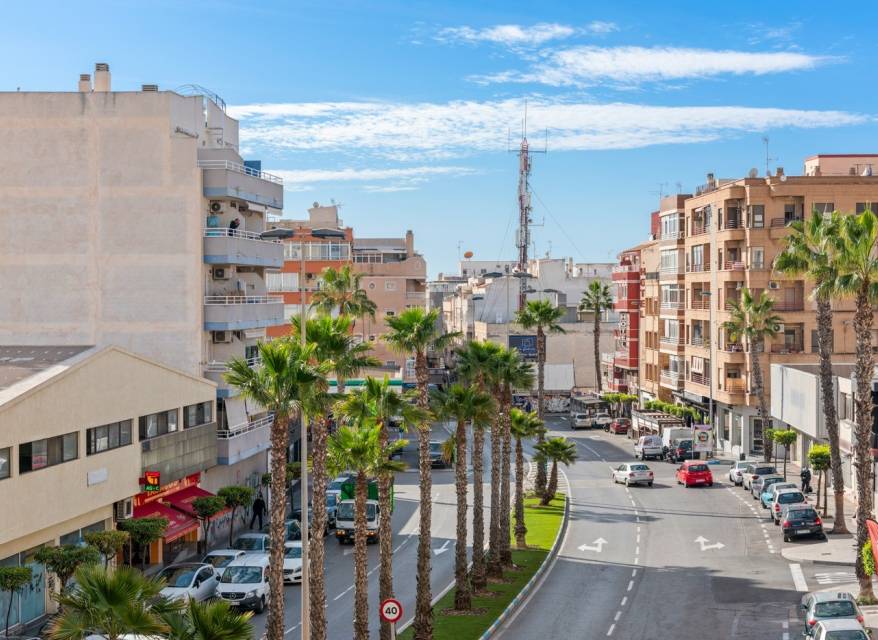 Nowy budynek - Apartament - Torrevieja