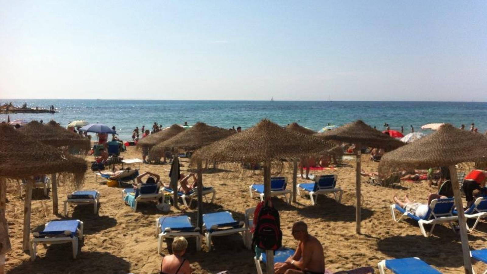 Nowy budynek - Apartament - Torrevieja