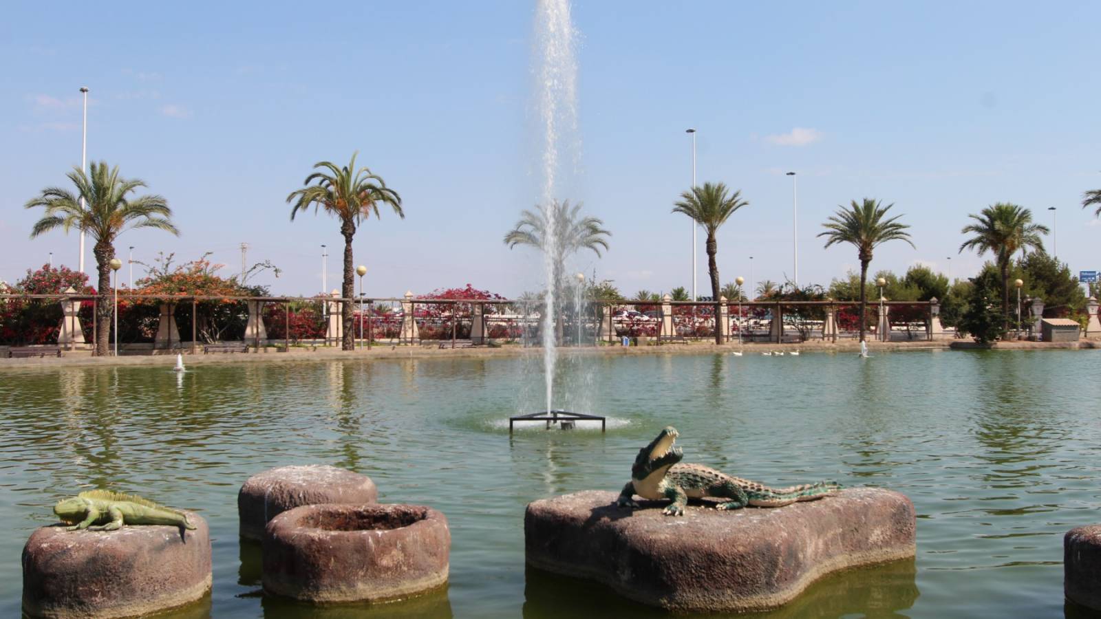 Nowy budynek - Apartament - Torrevieja