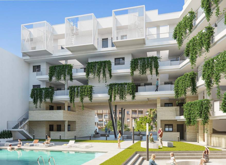 Nowy budynek - Apartament - Torrevieja