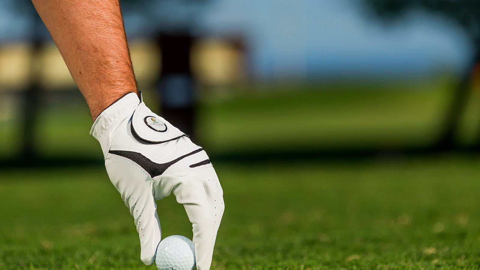 Nowy budynek - Ground floor - Lo Romero Golf