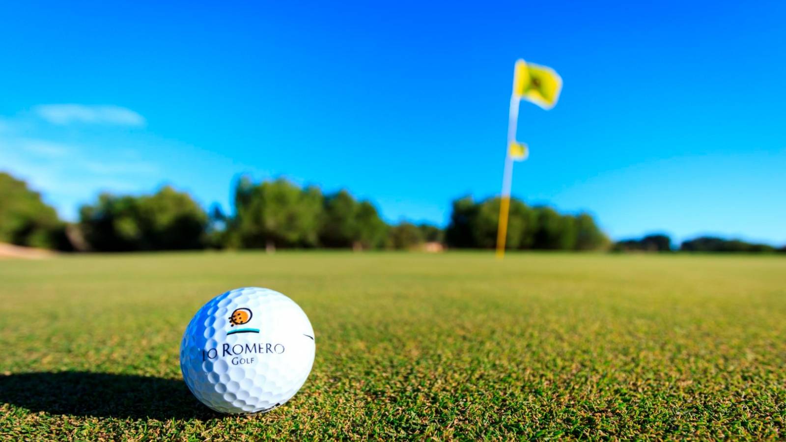 Nowy budynek - Ground floor - Lo Romero Golf