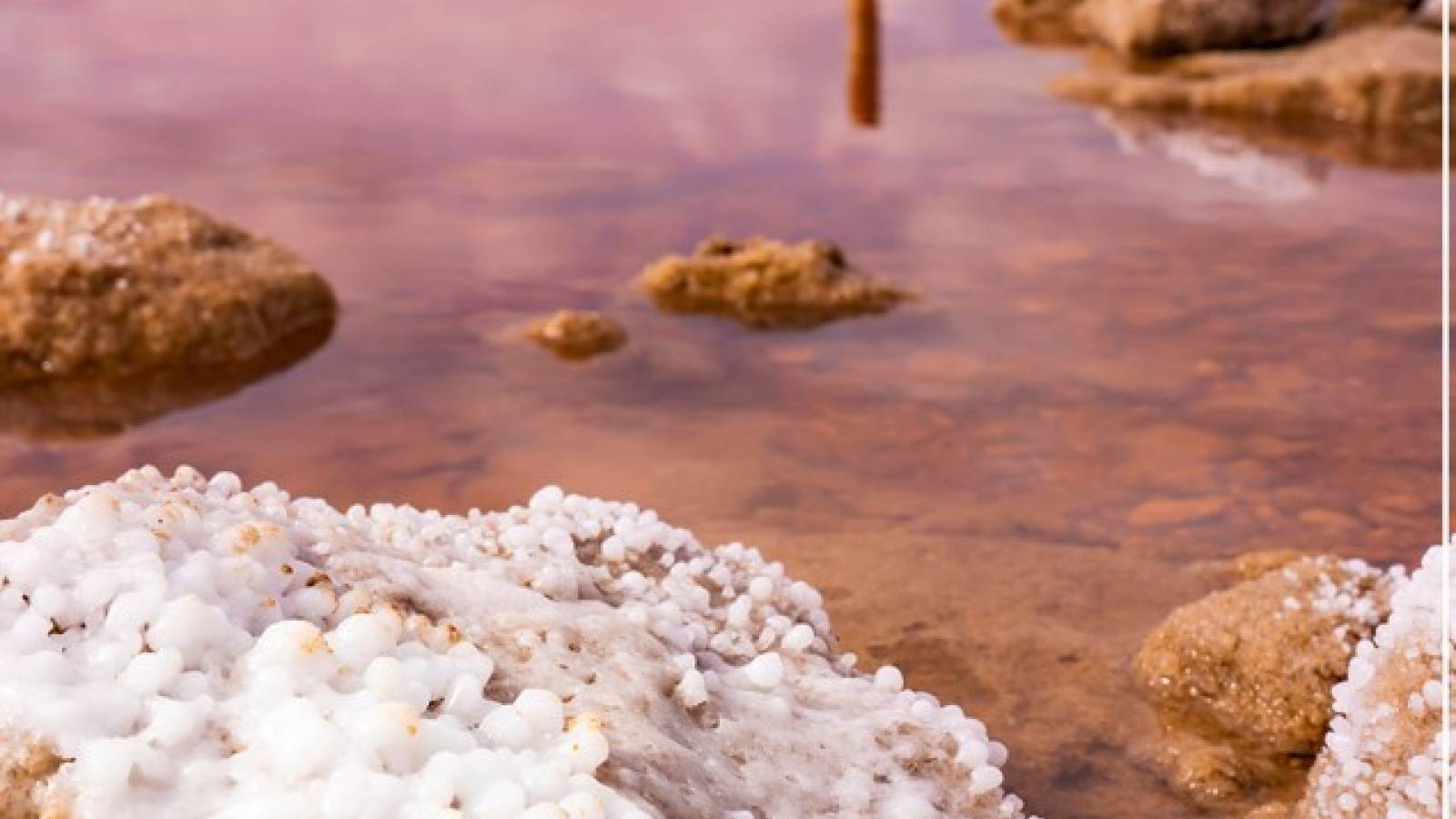 Nowy budynek - Ground floor - Torrevieja - El Chaparral