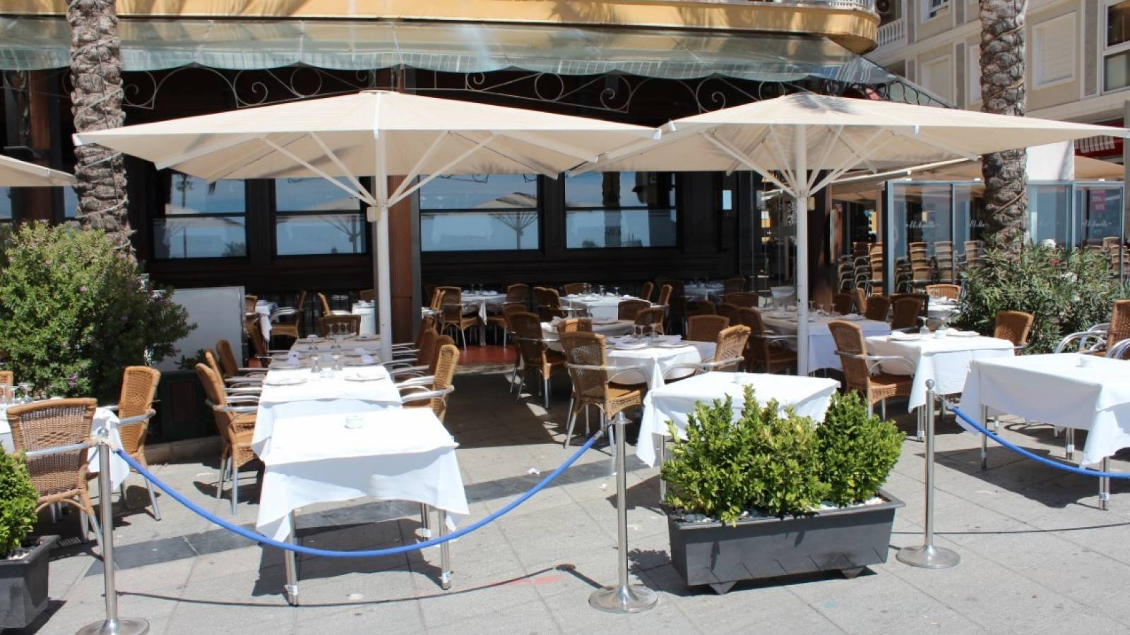 Nowy budynek - Penthouse - Torrevieja