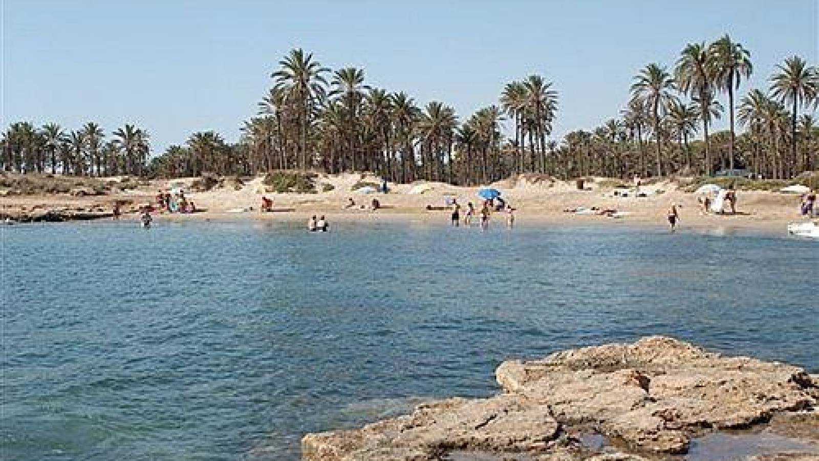 Nowy budynek - Penthouse - Torrevieja