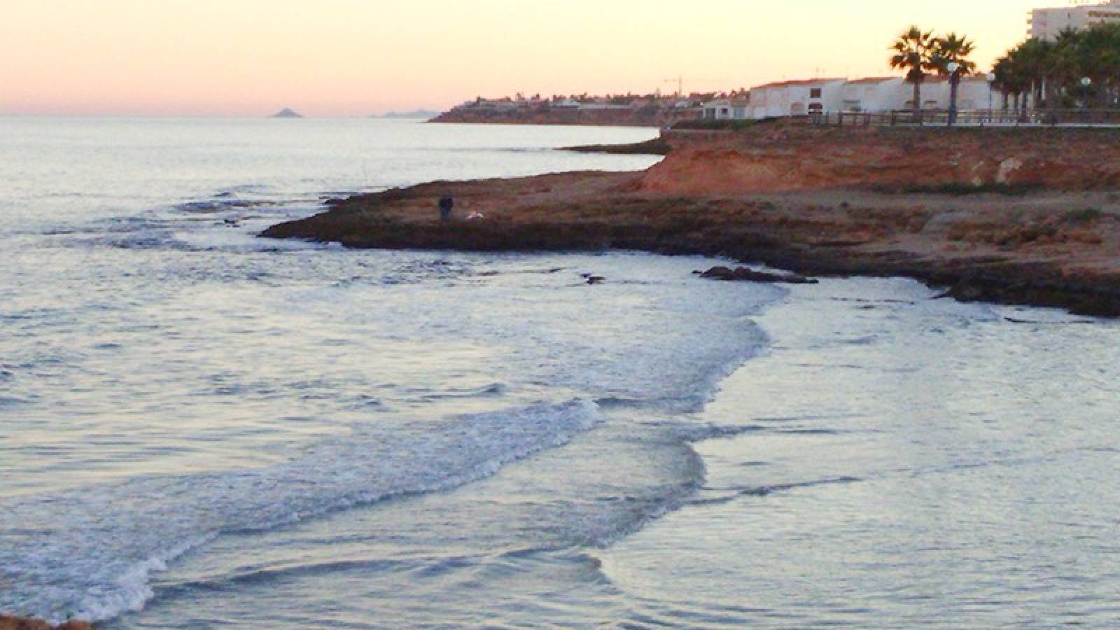 Nowy budynek -  - Torrevieja