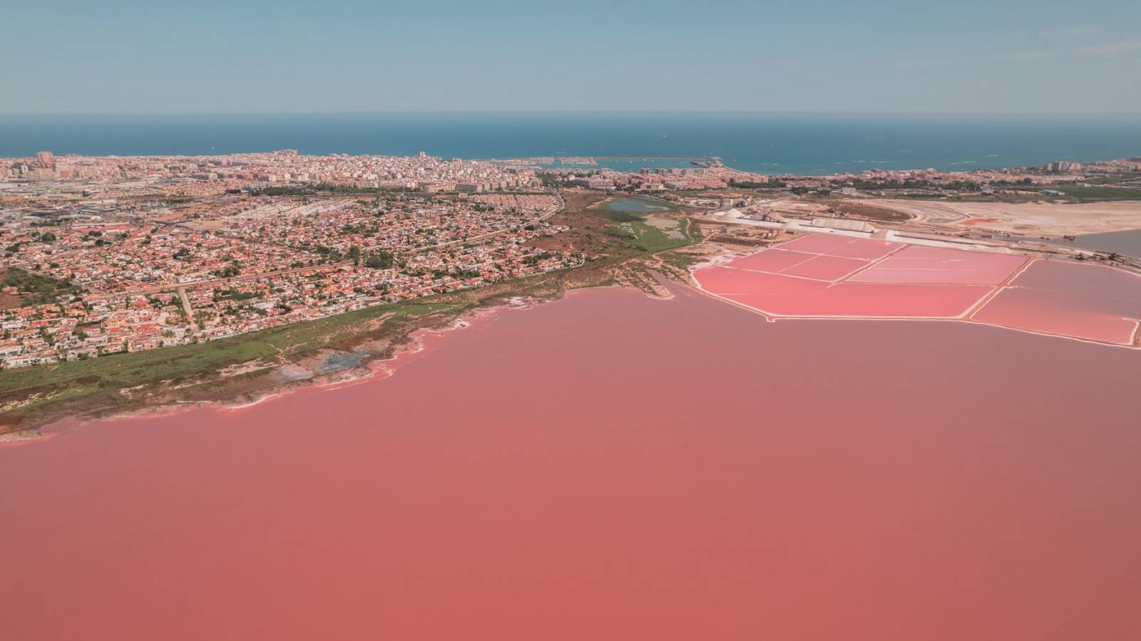 Nowy budynek -  - Torrevieja