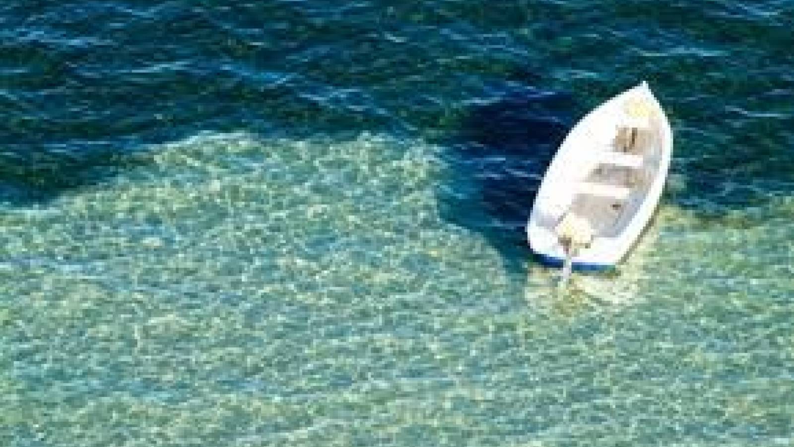 Nowy budynek - Villa - Benitachell - Cumbre del Sol