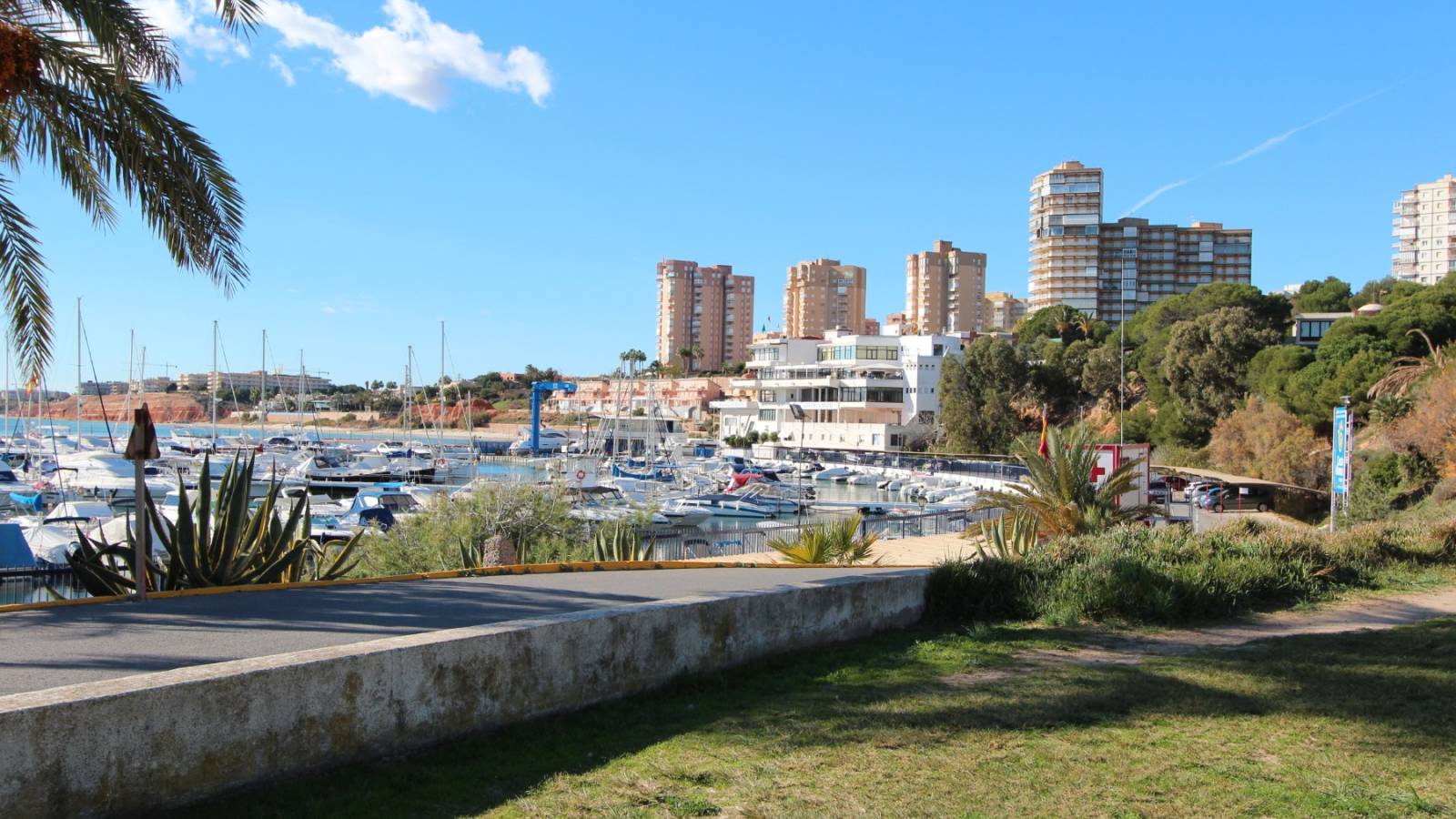 Nowy budynek - Villa - Dehesa de campoamor