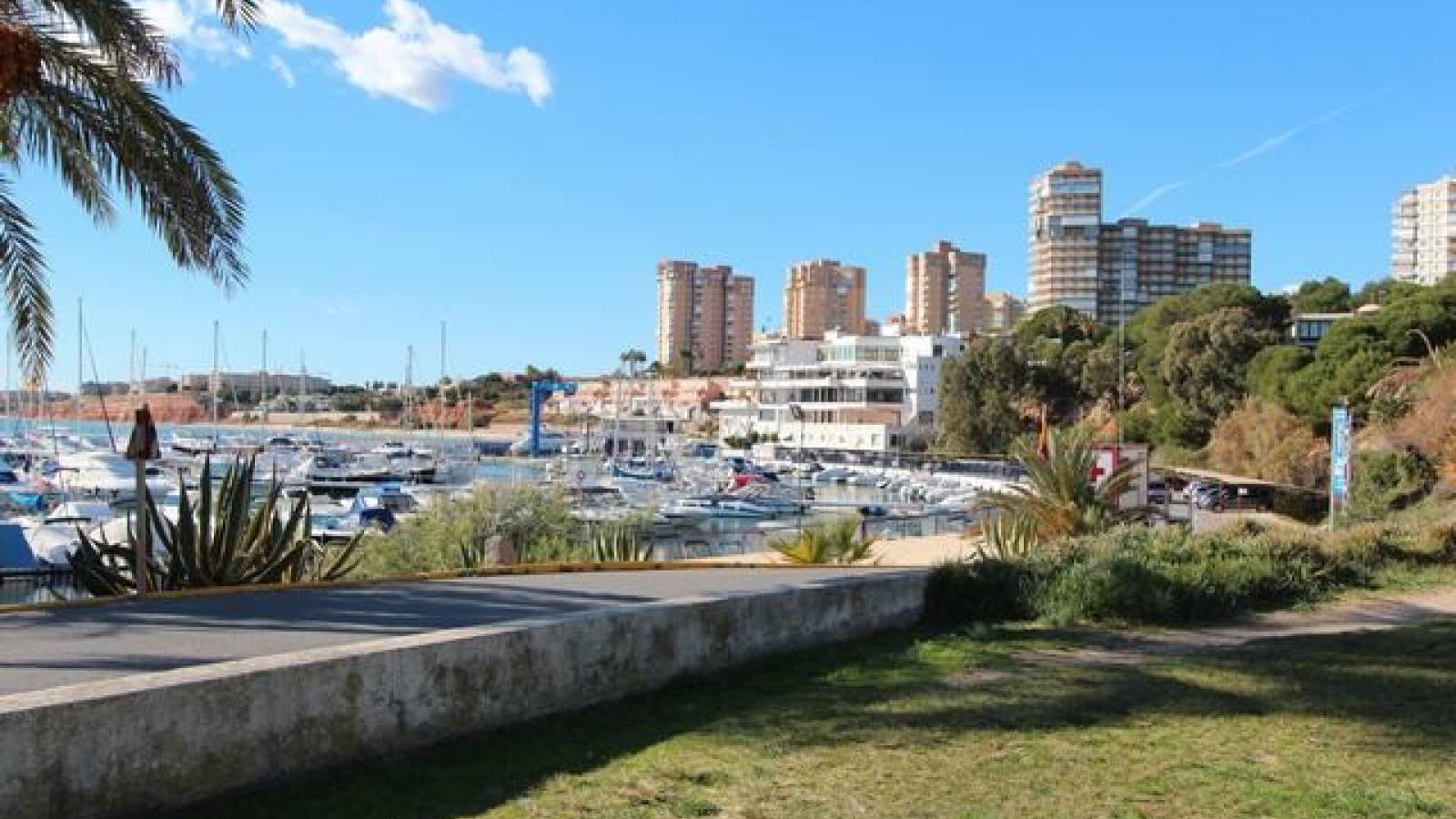 Nowy budynek - Villa - Dehesa de campoamor