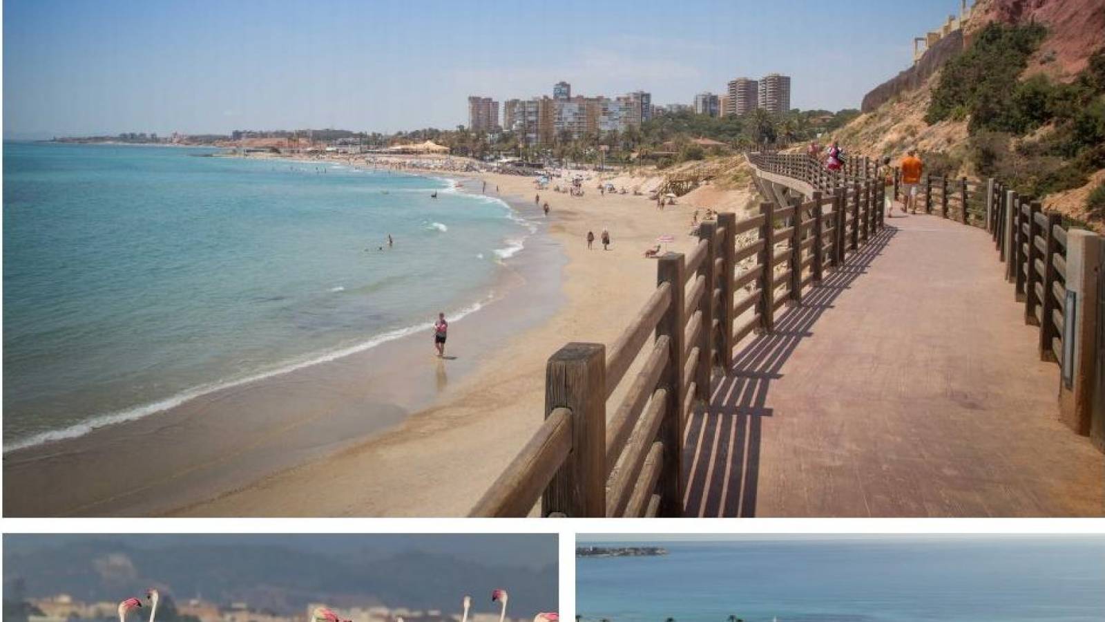 Nowy budynek - Villa - Dehesa de campoamor