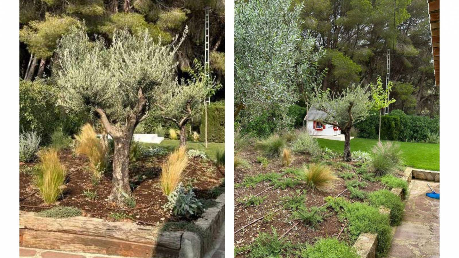 Nowy budynek - Villa - Las Colinas