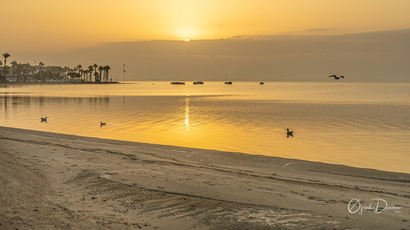 Nowy budynek - Villa - Los Alcazares