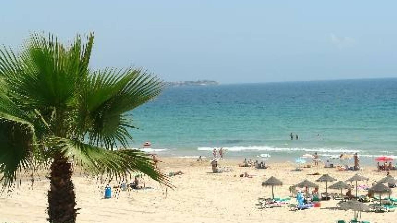 Nowy budynek - Villa - Pilar de la Horadada