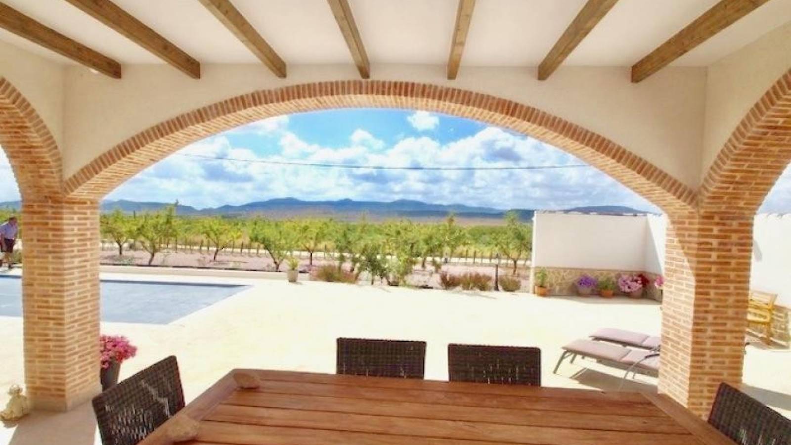 Nowy budynek - Villa - Pinoso