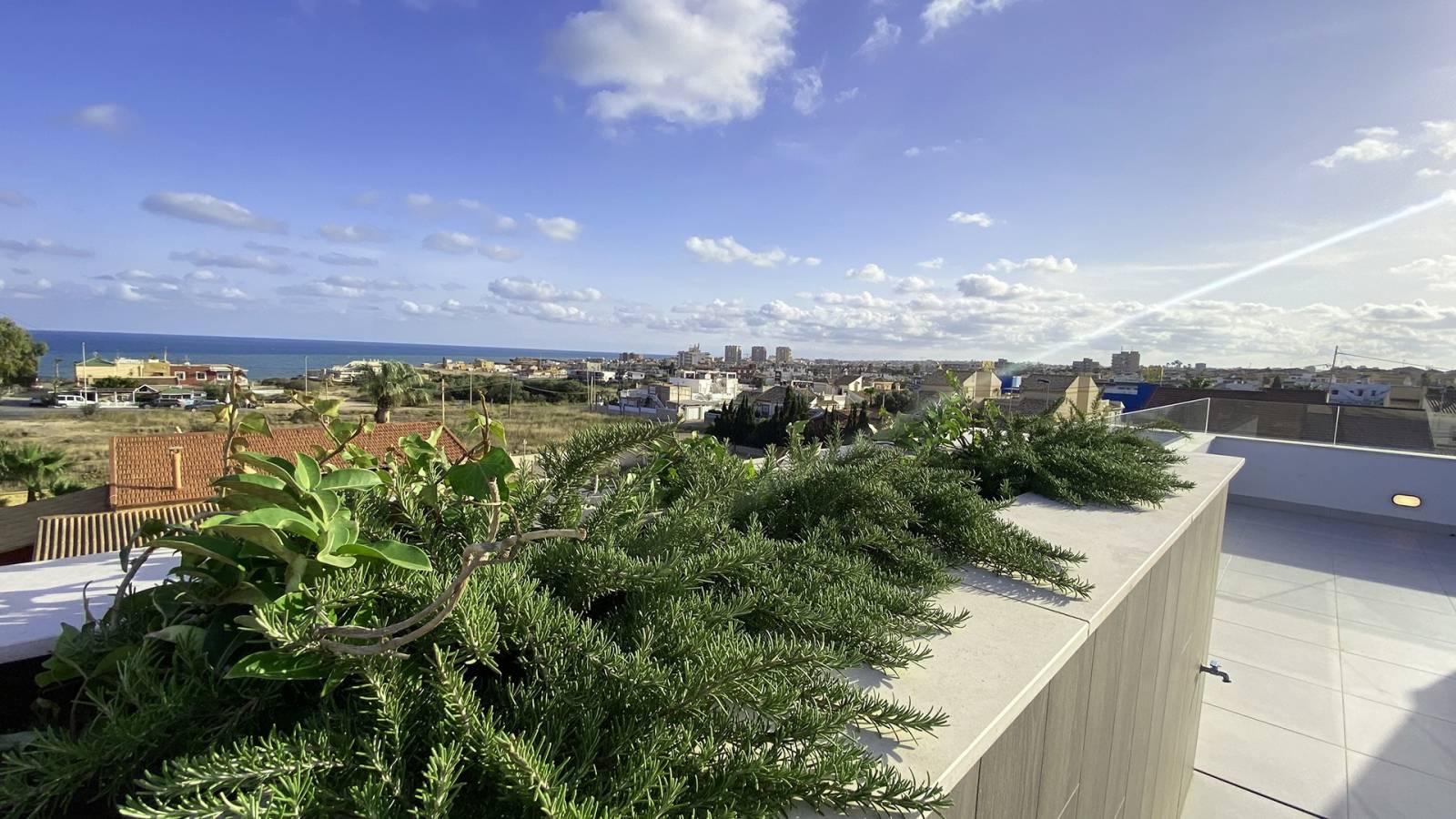 Nowy budynek - Villa - Torrevieja