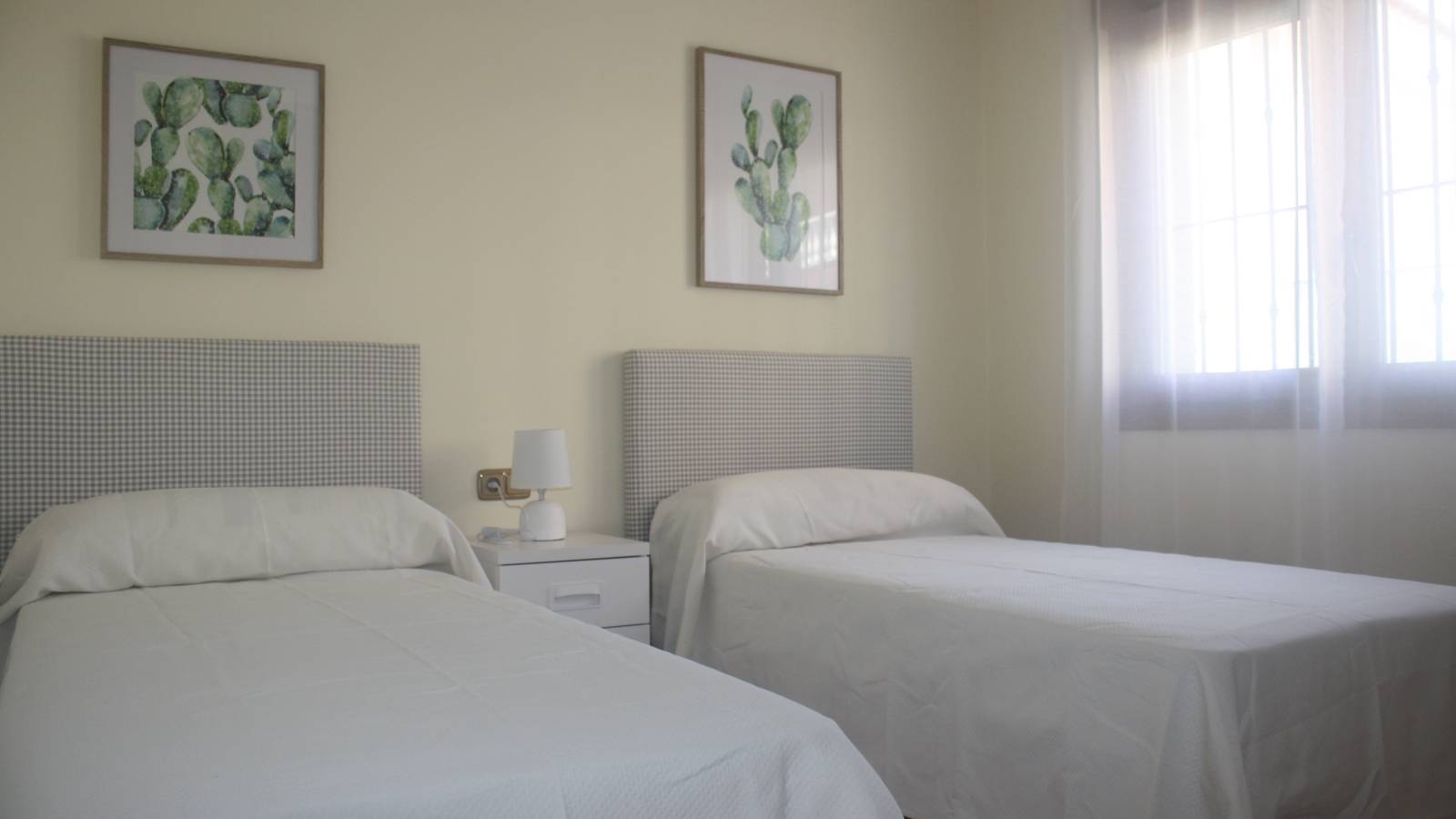 Nowy budynek - Villa - Torrevieja