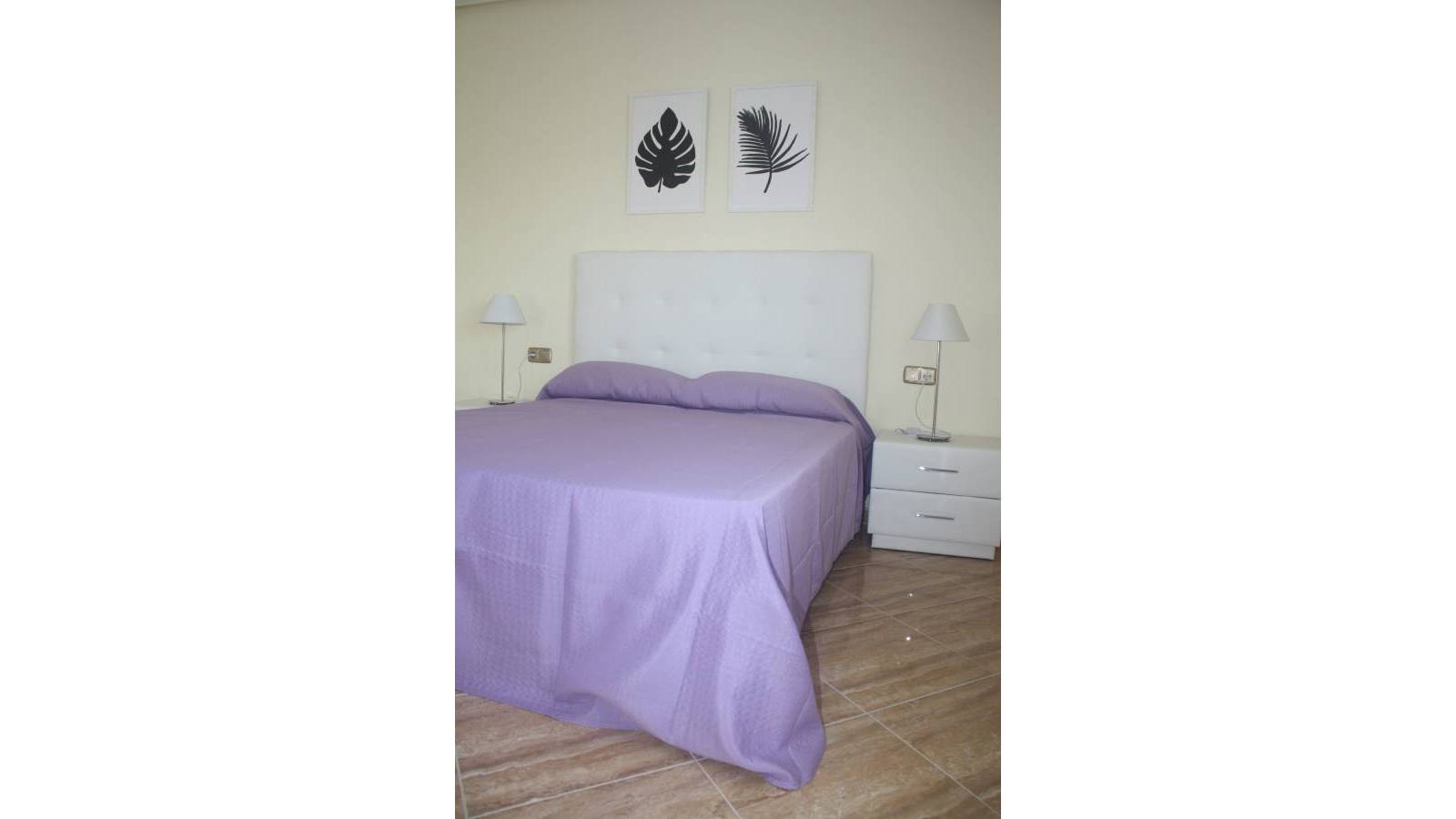 Nowy budynek - Villa - Torrevieja