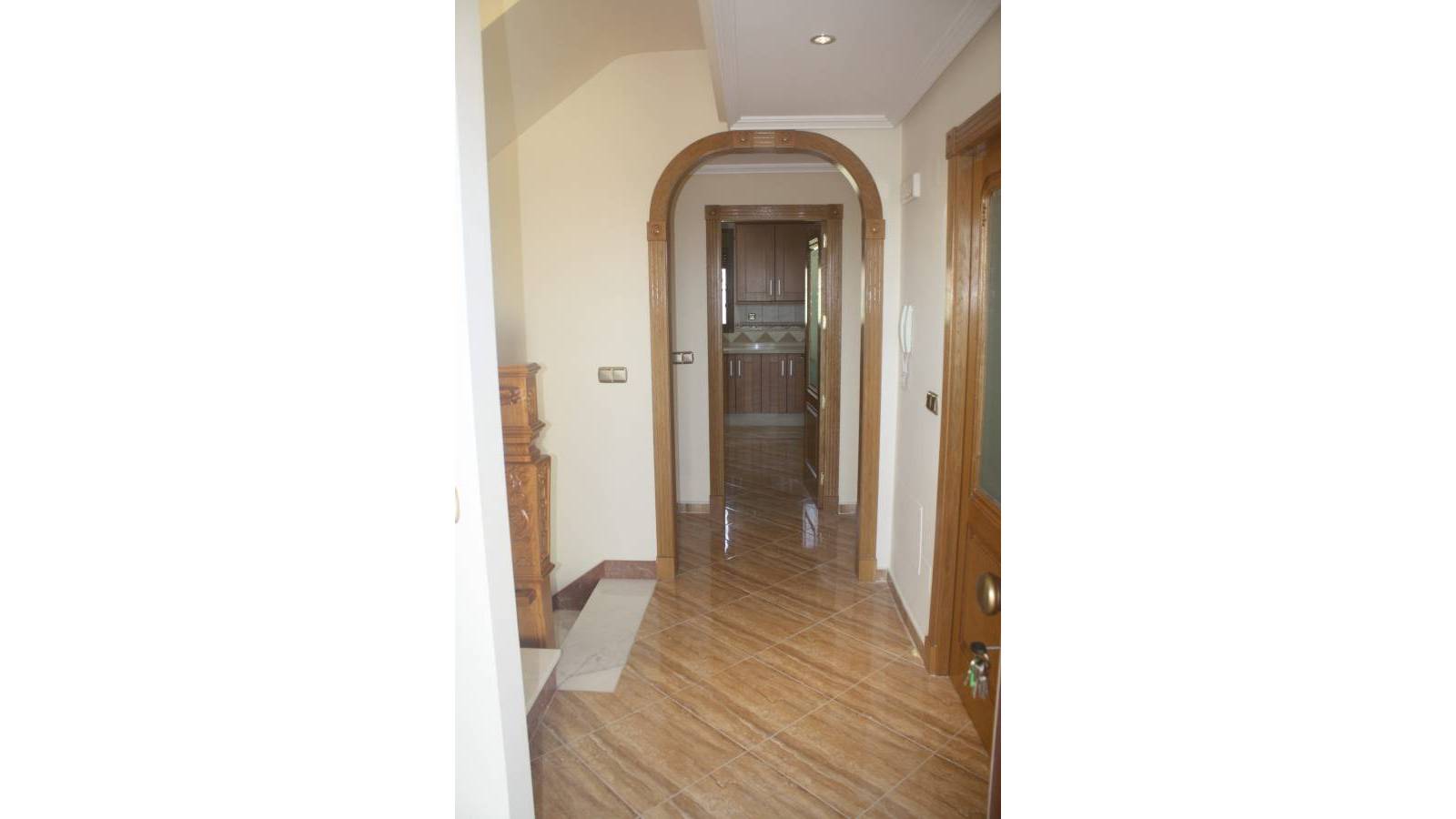 Nowy budynek - Villa - Torrevieja