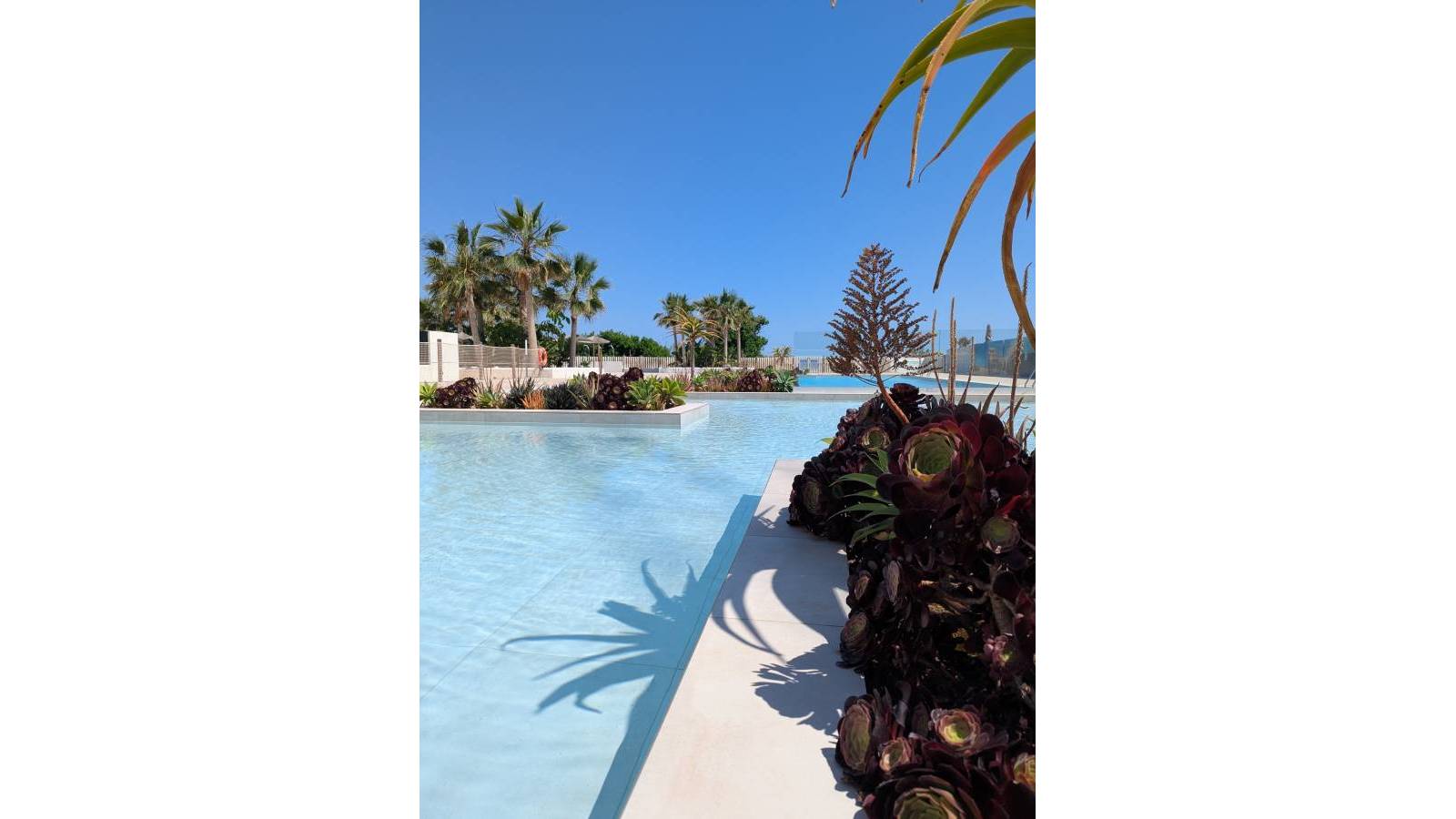 Nueva construcción  - Apartamento - Denia - Dénia