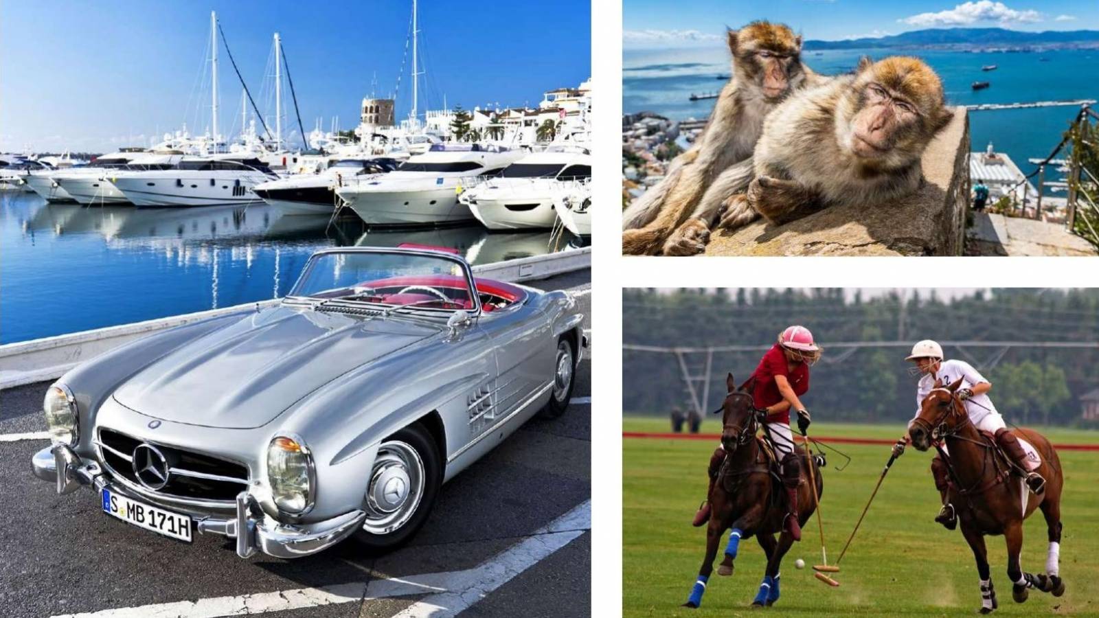 Nueva construcción  - Atico - Estepona-Marbella