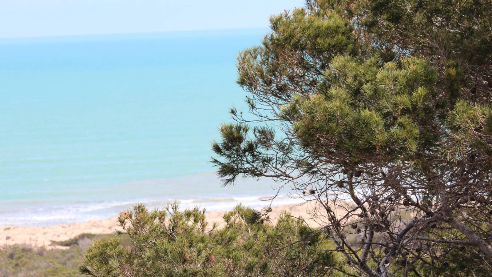 Nueva construcción  - Atico - Guardamar del Segura