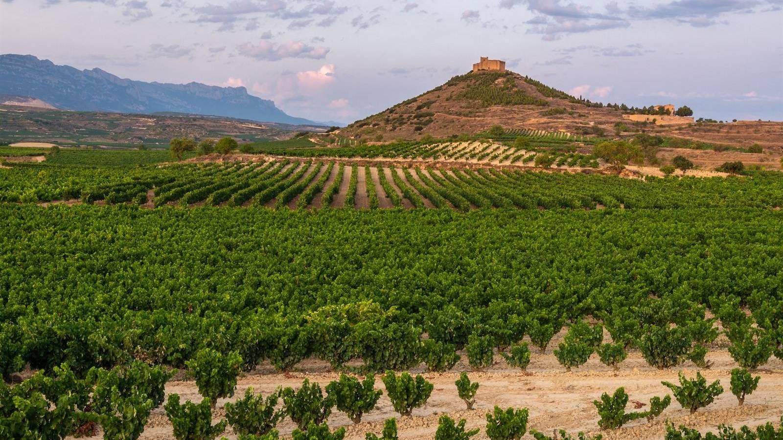 Nueva construcción  - Chalet - Aspe