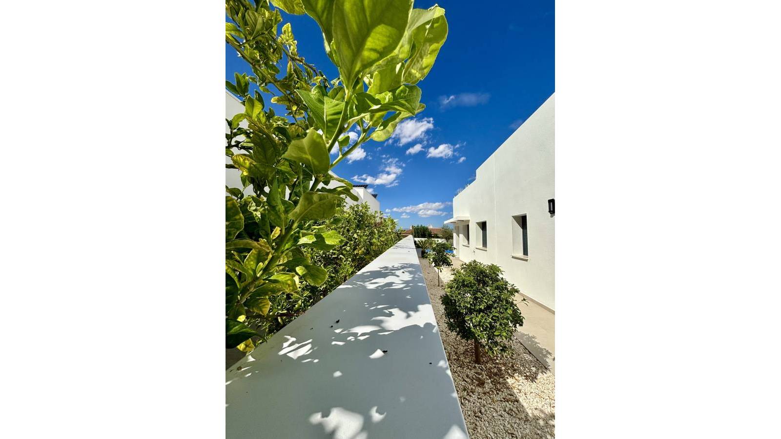 Nueva construcción  - Chalet - Benijofar