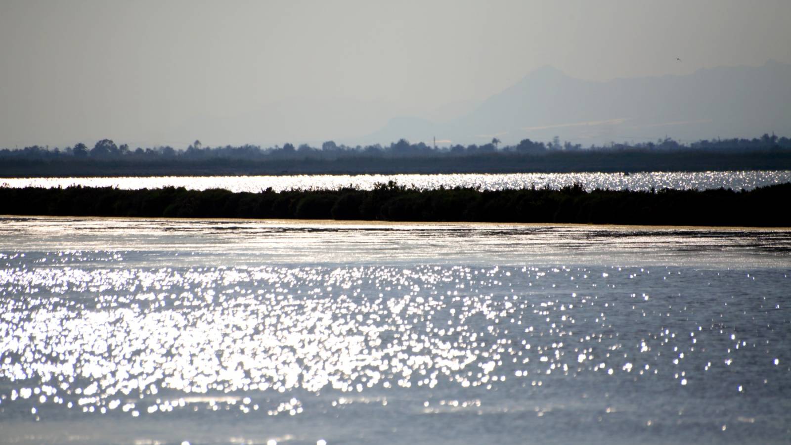 Nueva construcción  - Chalet - Ciudad Quesada