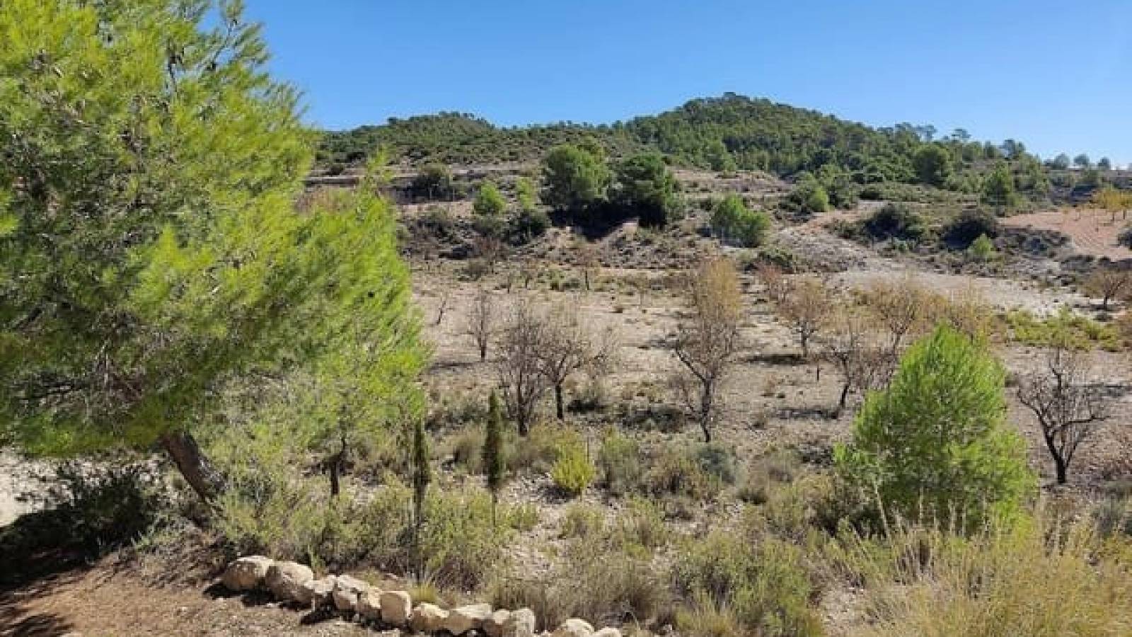 Nueva construcción  - Chalet - La Romana