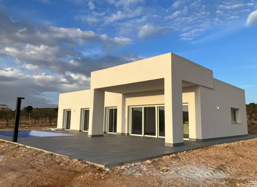 Nueva construcción  - Chalet - Pinoso