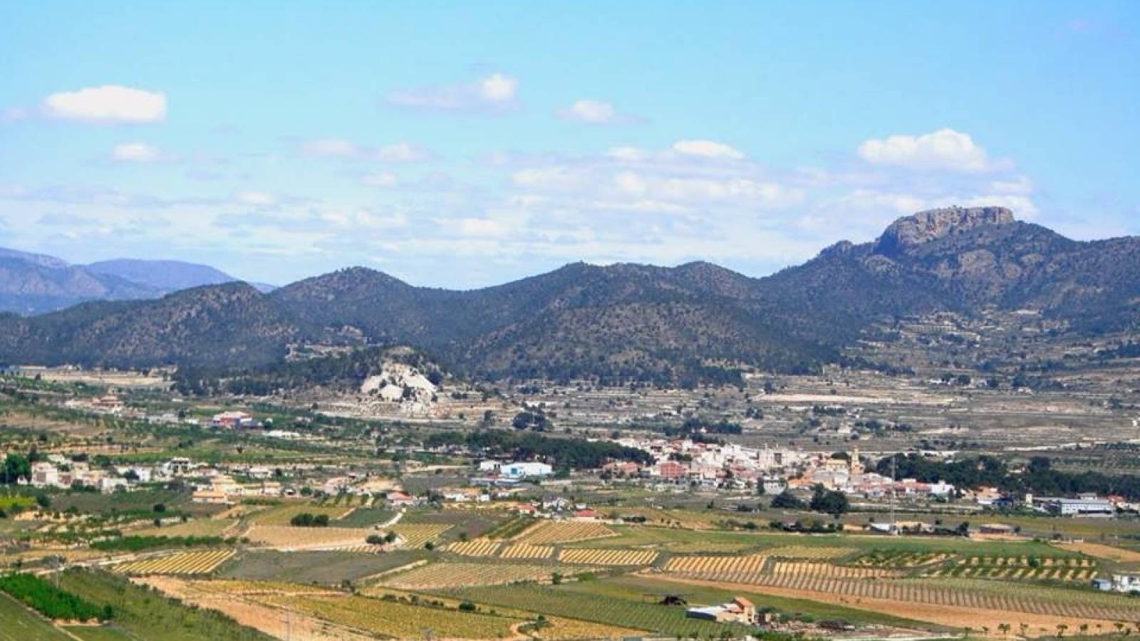 Nueva construcción  - Chalet - Pinoso