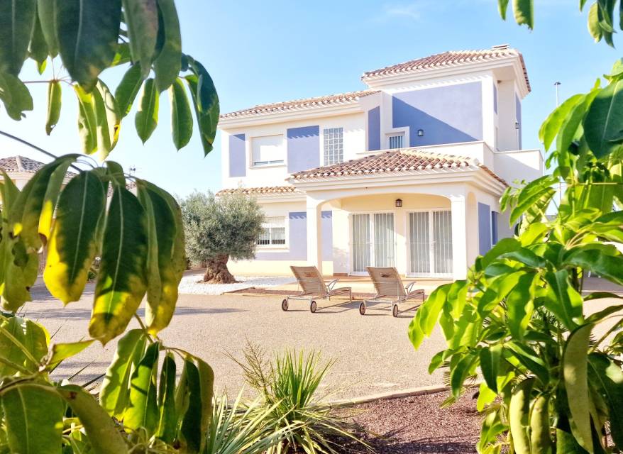 Nueva construcción  - Chalet - Purias