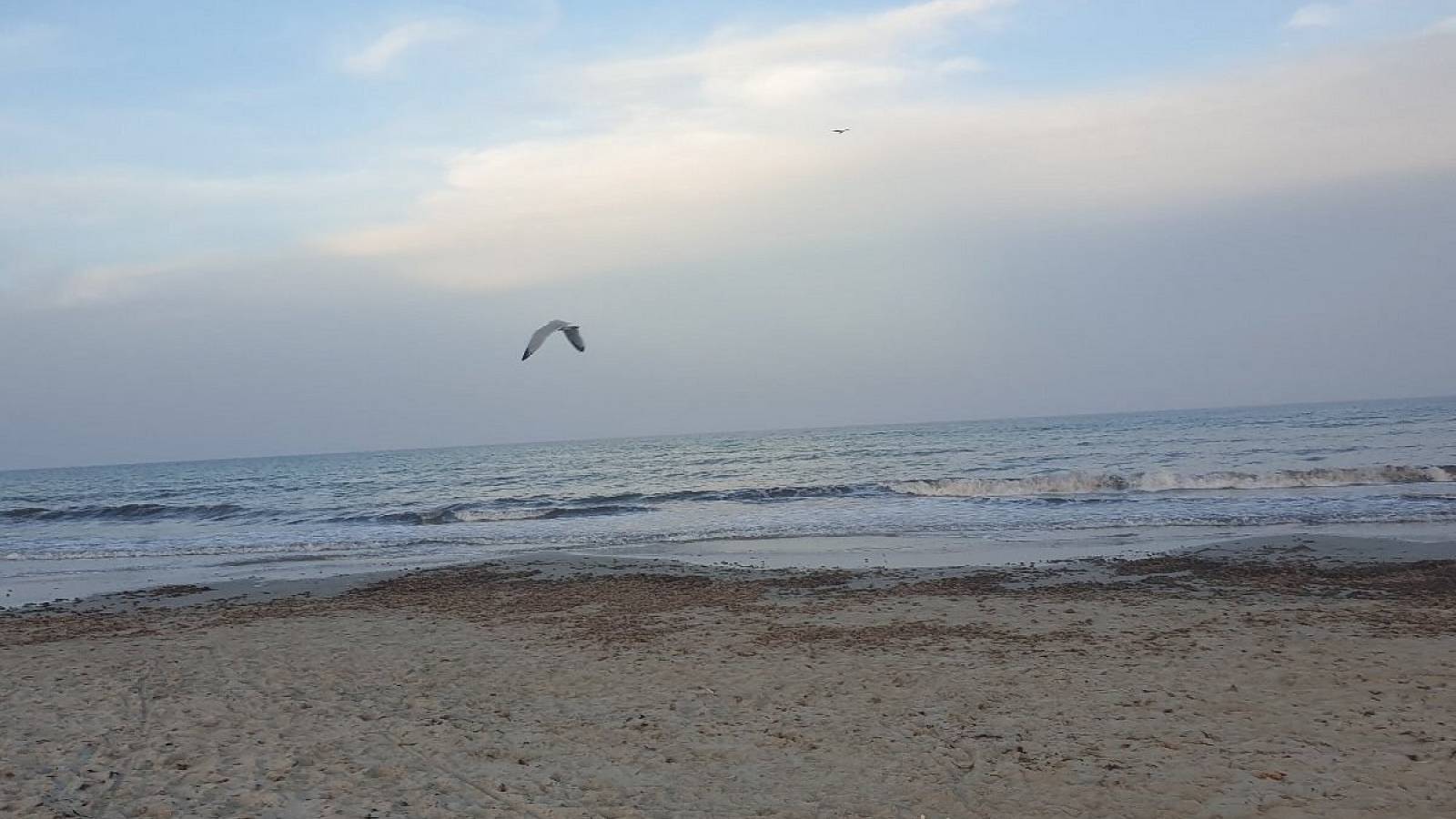 Nueva construcción  - Chalet - San Pedro del Pinatar