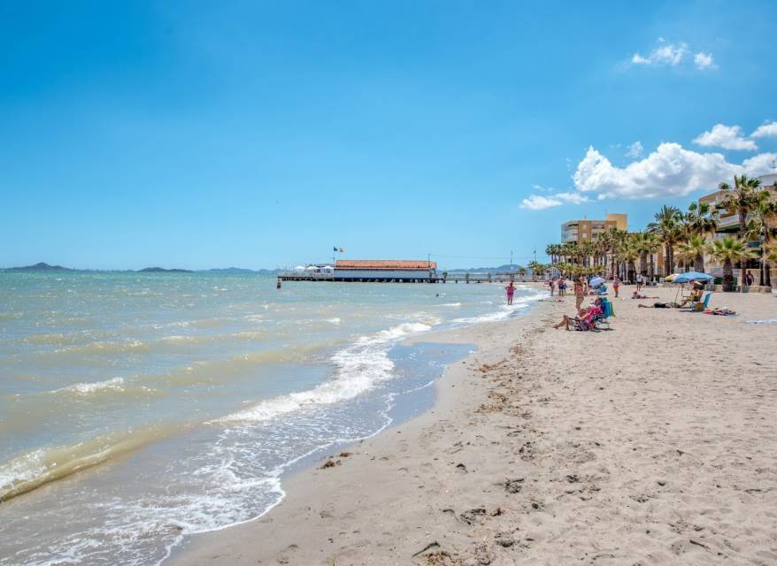 Nueva construcción  - Chalet - Serena Golf