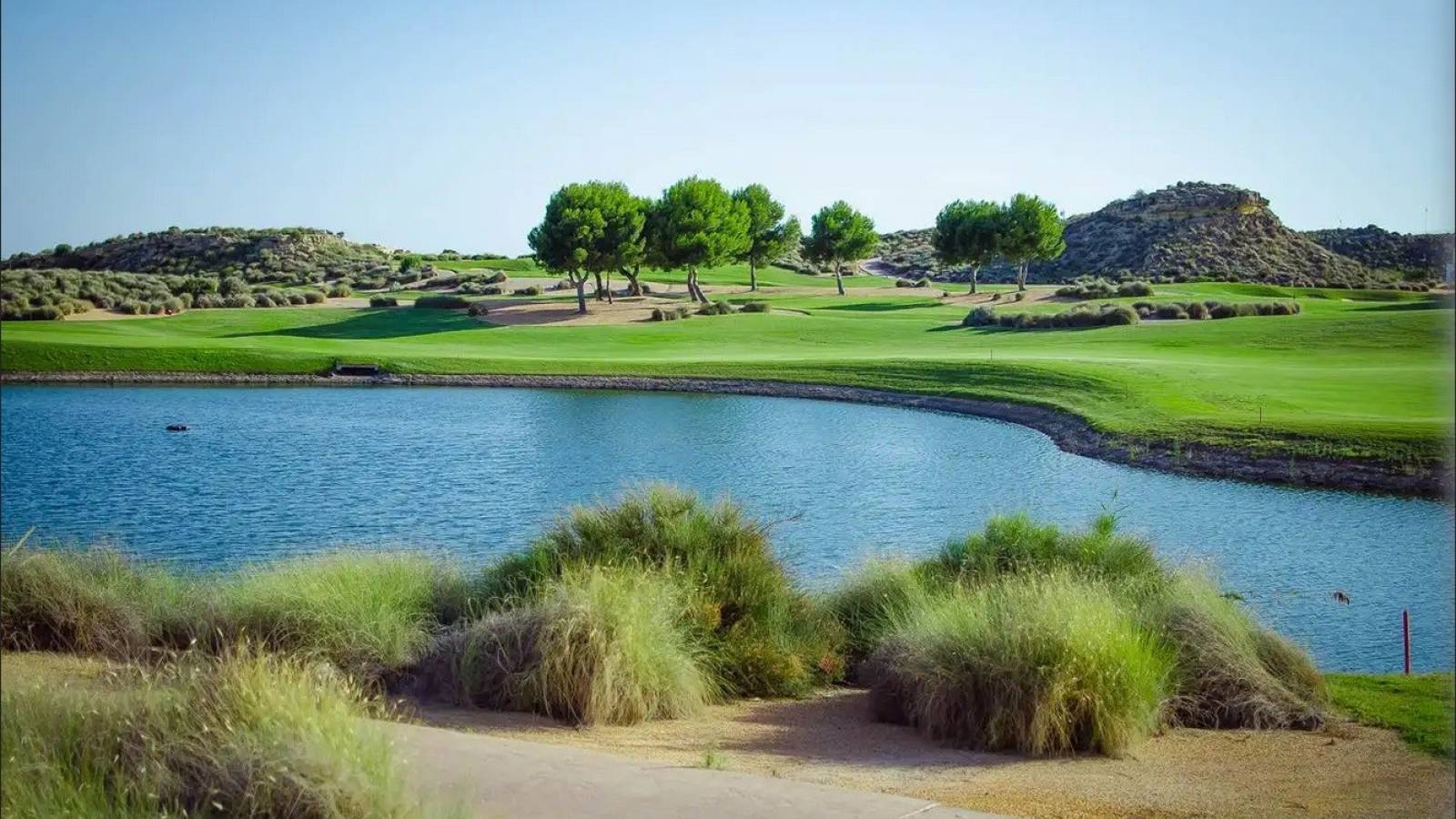 Nueva construcción  - Planta baja - El Vale Golf resort