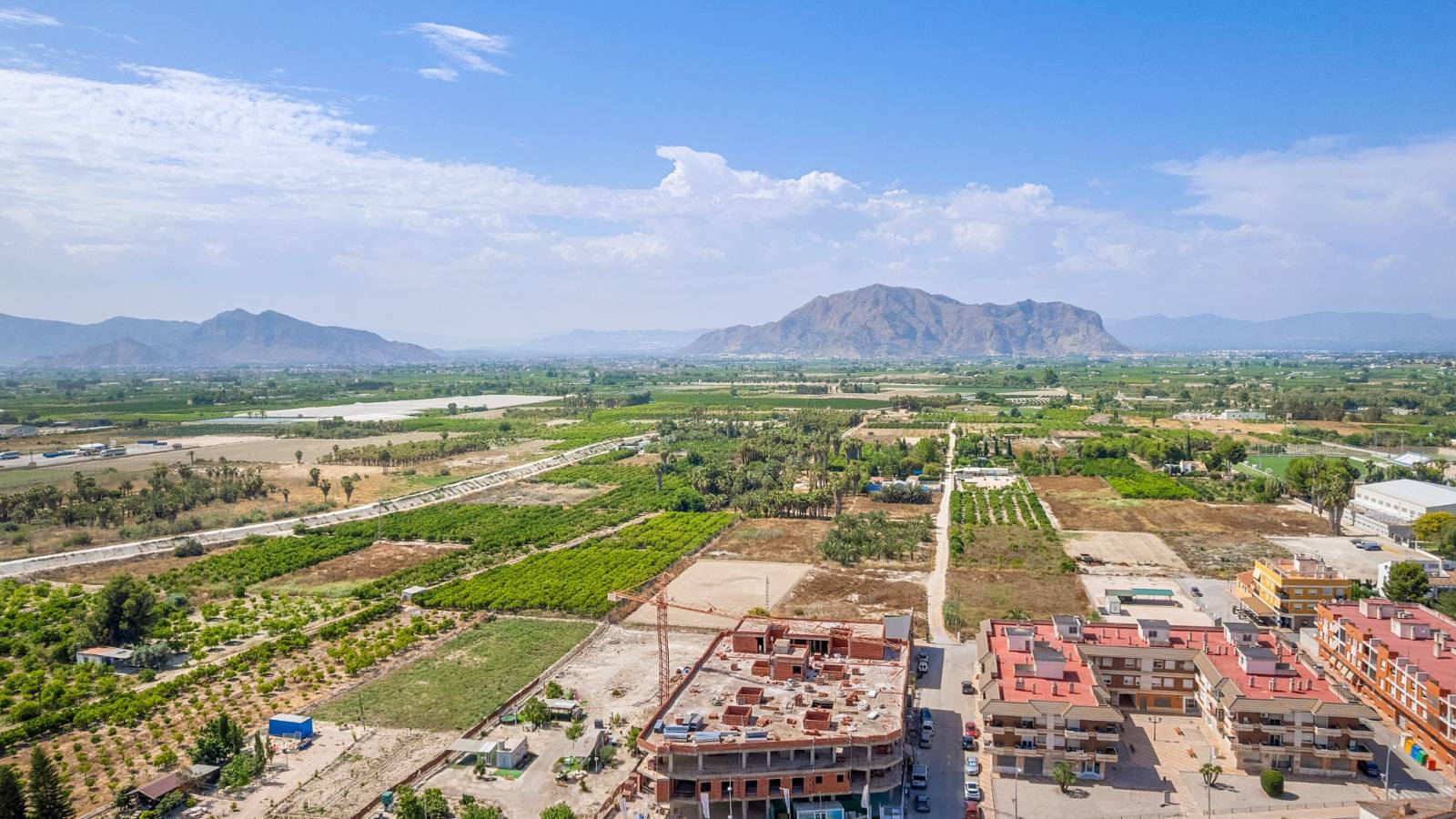 Nueva construcción  - Planta baja - Jacarilla