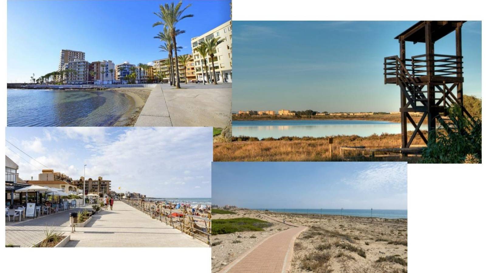 Nueva construcción  - Planta baja - La Mata