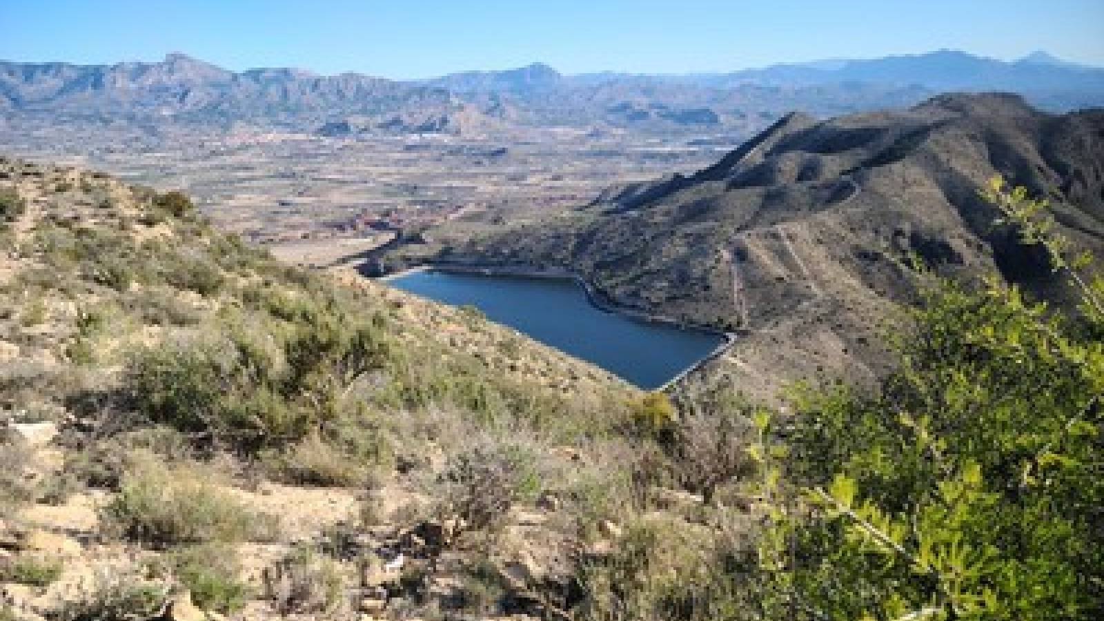 Nueva construcción  - Planta baja - Monforte del Cid