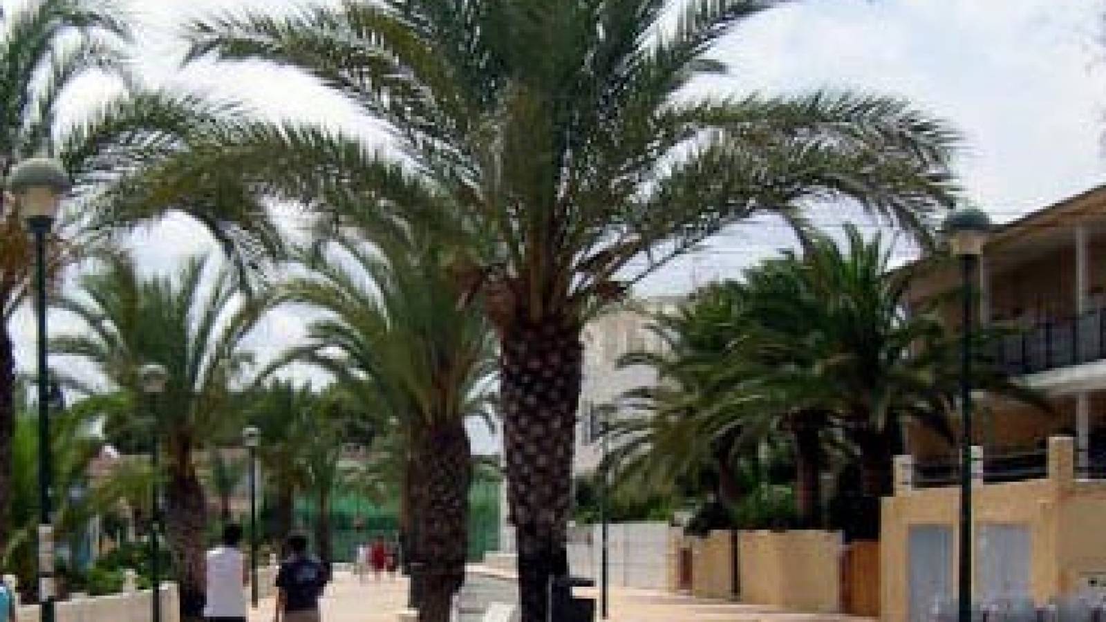 Nueva construcción  - Planta baja - Pilar de la Horadada