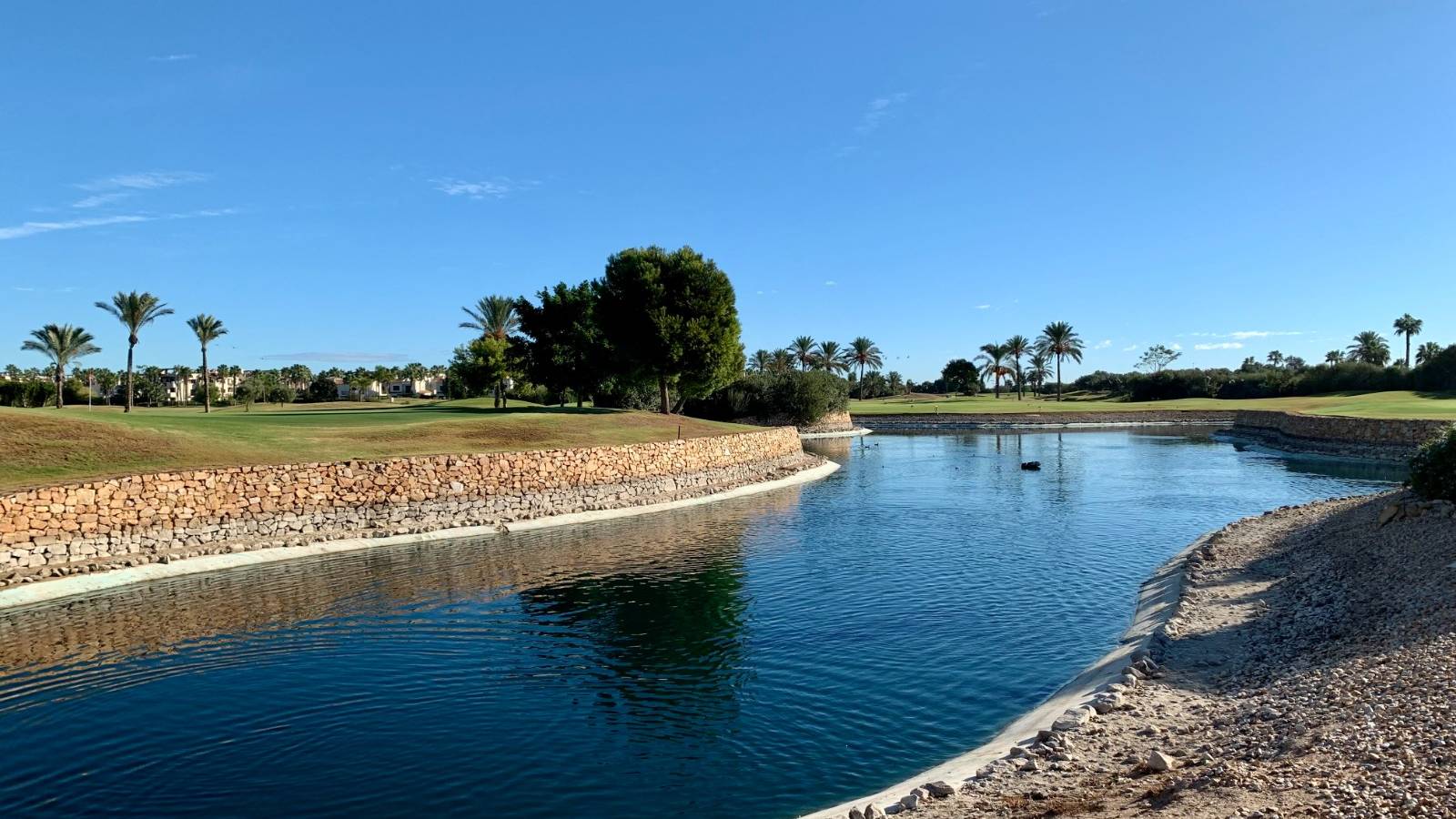 Nueva construcción  - Planta baja - Roda Golf