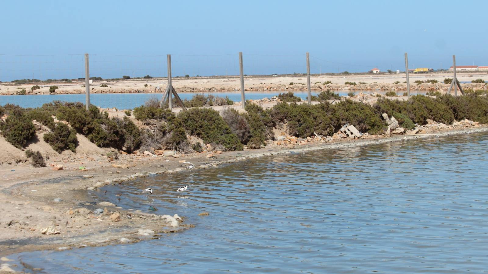 Nueva construcción  - Planta baja - San Pedro del Pinatar