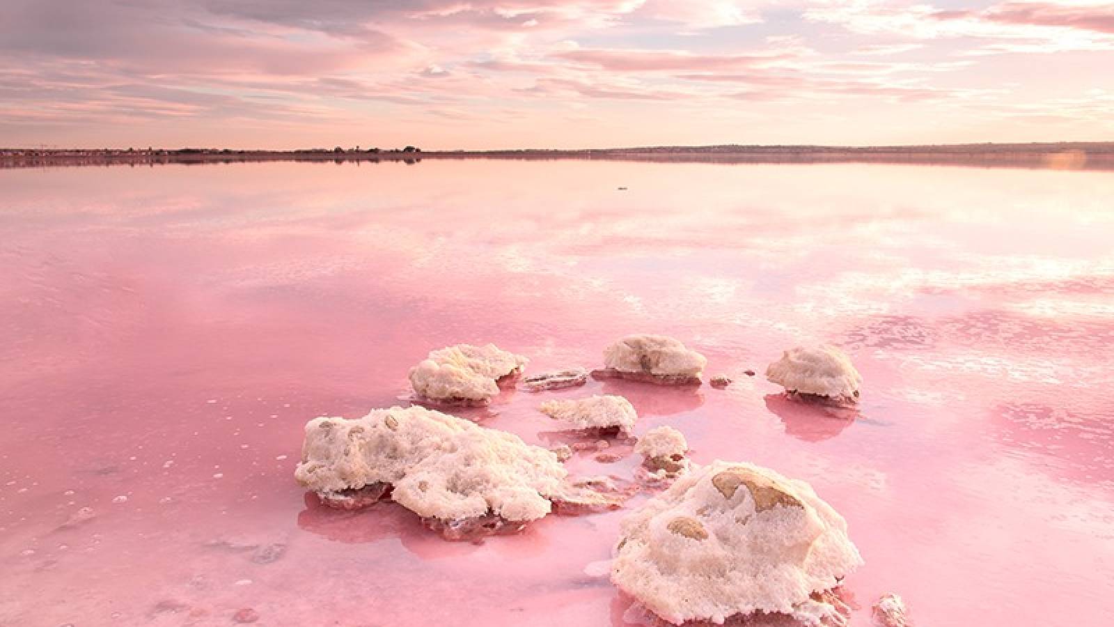 Nueva construcción  - Planta baja - Torrevieja