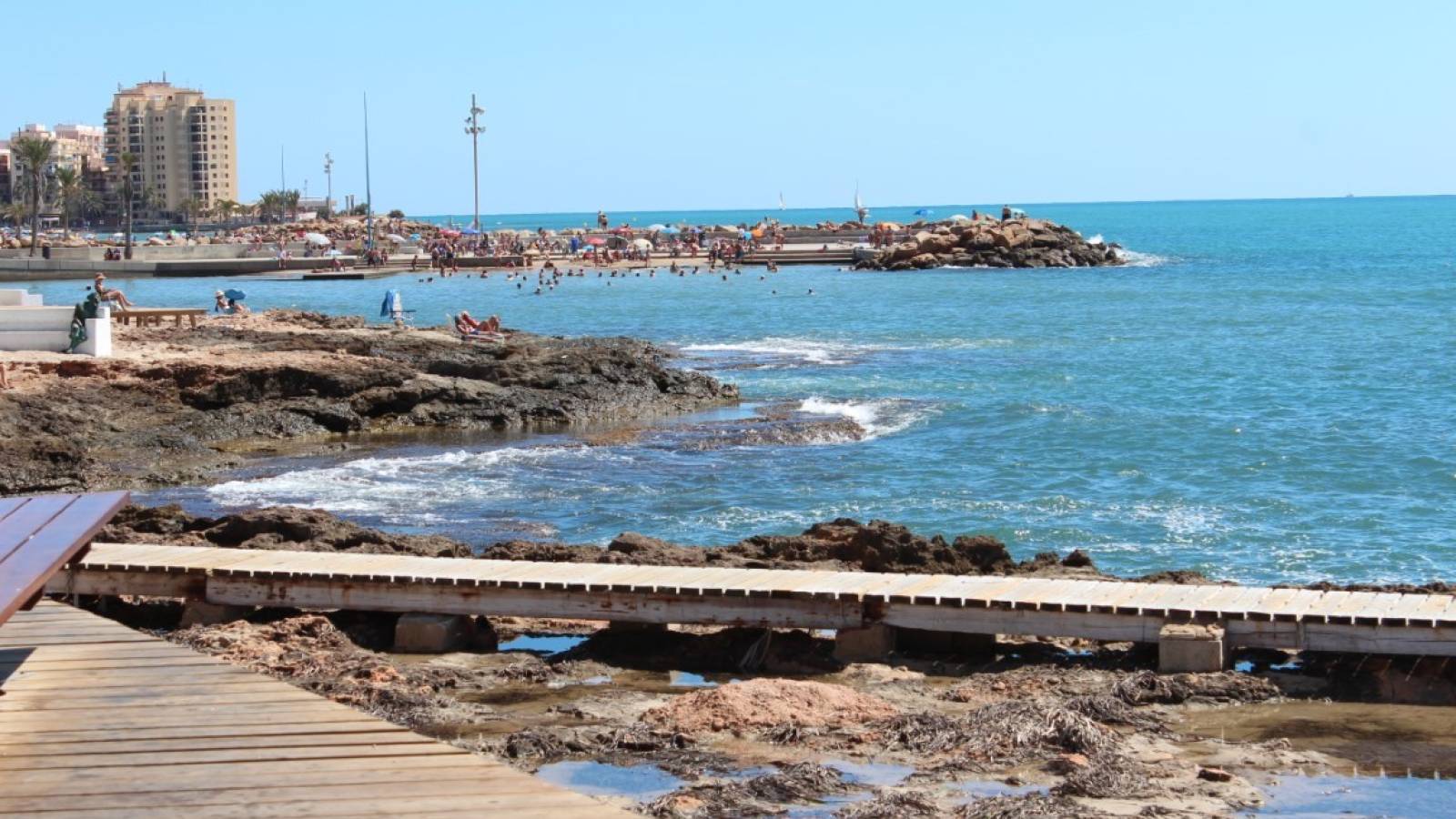 Nueva construcción  - Planta baja - Torrevieja